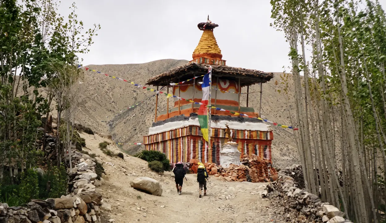 Weg nach Chele im Mustang
