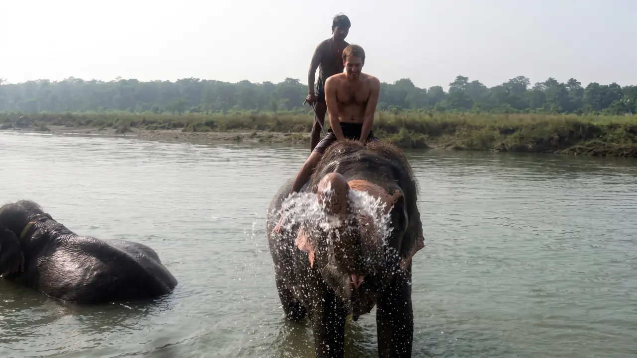 Elefanten im Rapti River, Chtiwan