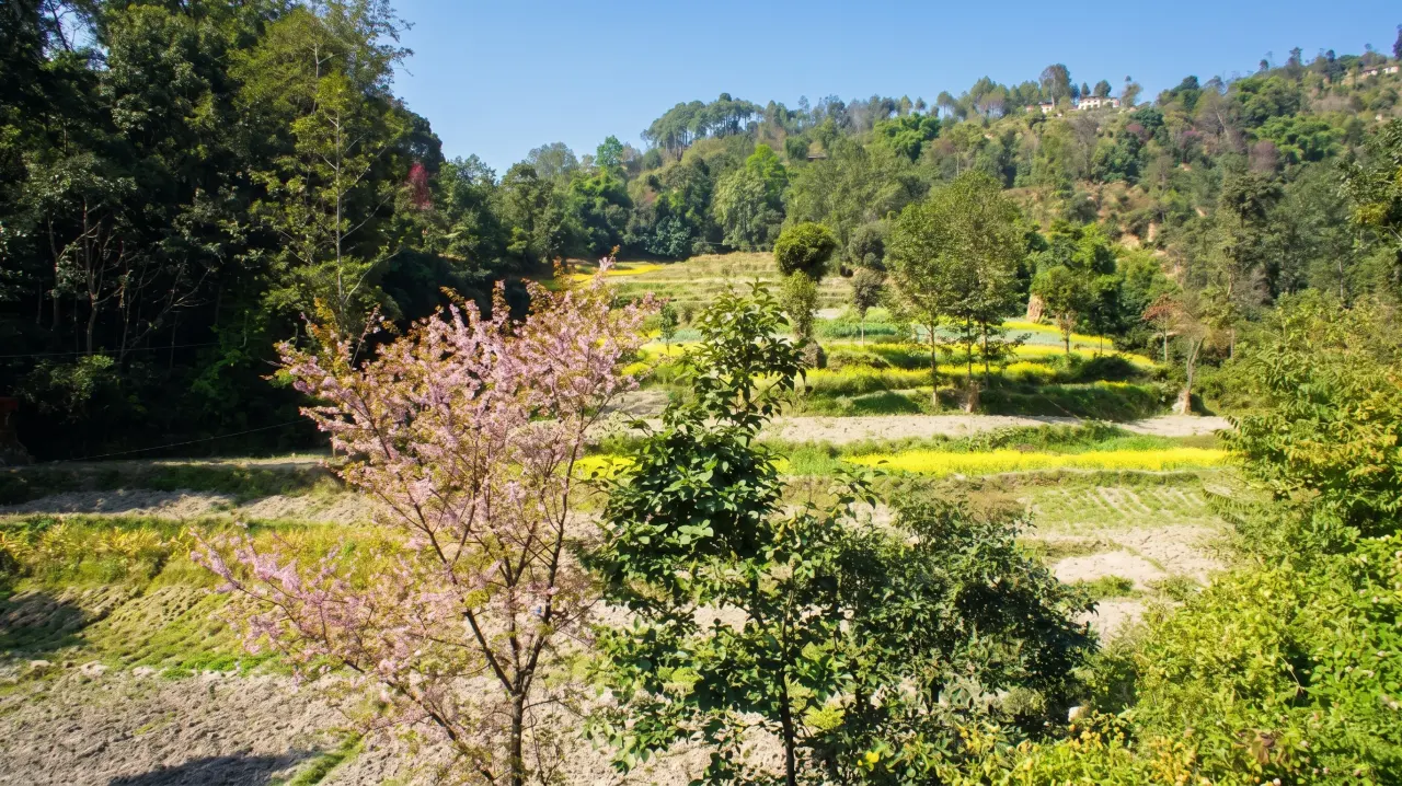 Trekking Namo Buddha