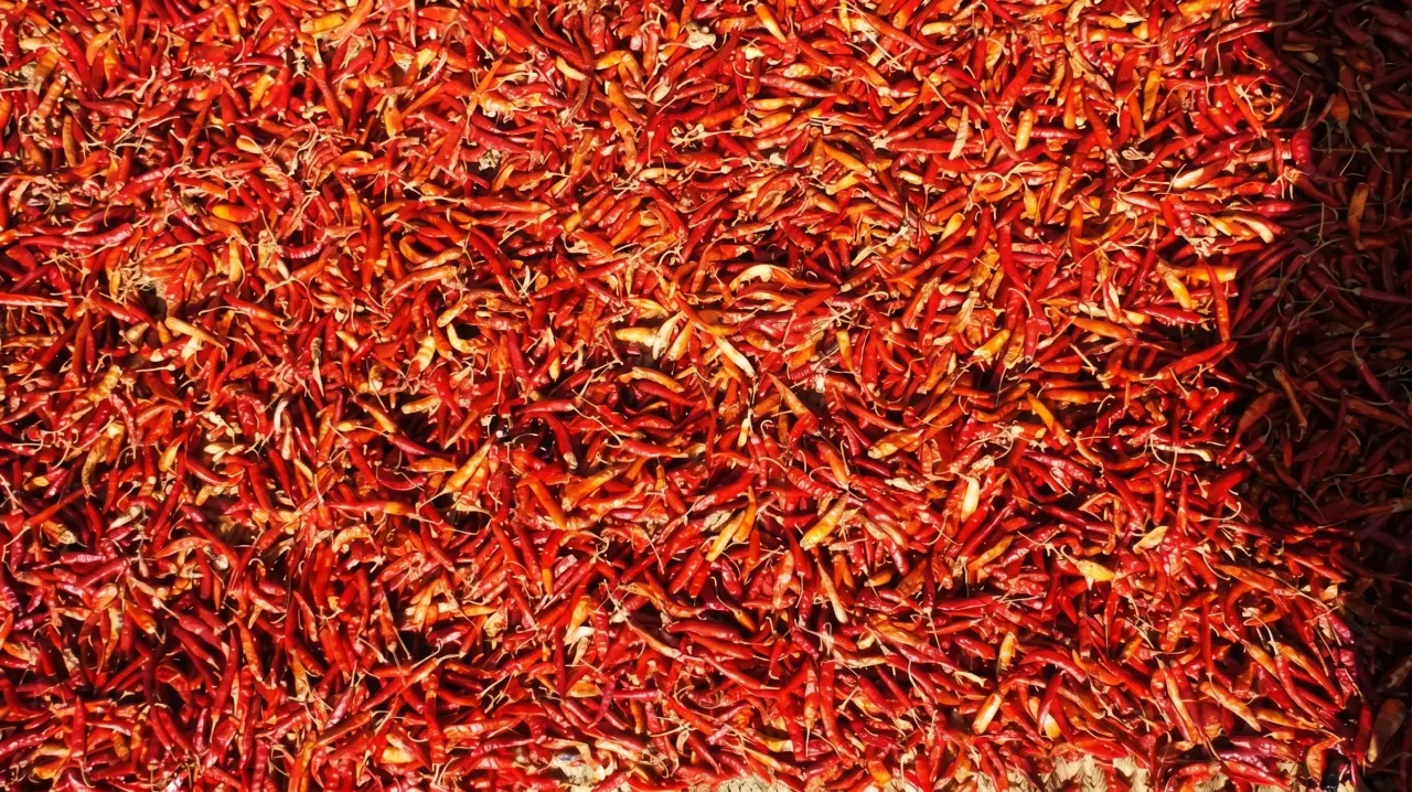 Chilli