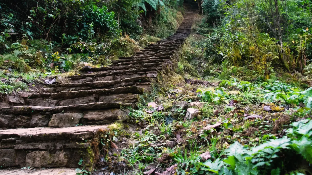 Aufstieg nach Ghorepani, ABC-Trek