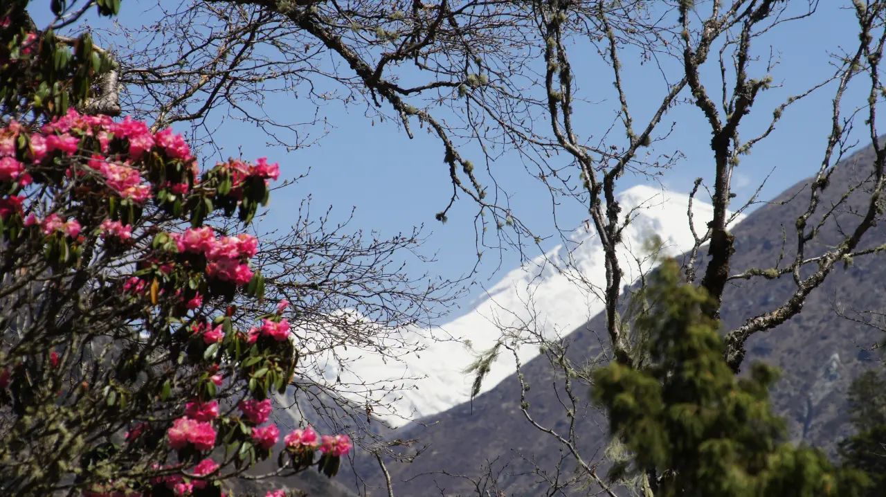 Everest Trekking
