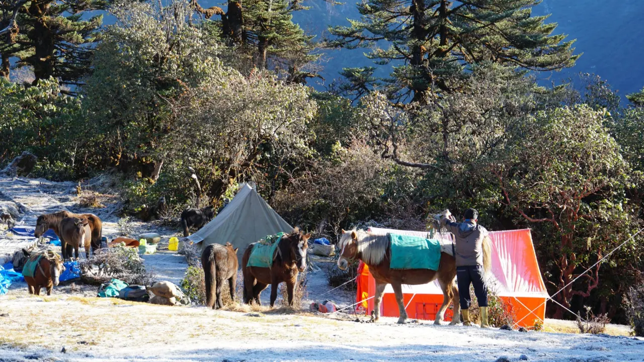 Camp Kangchendzönga, Kangchendzönga Trekking